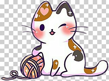 GATITO1